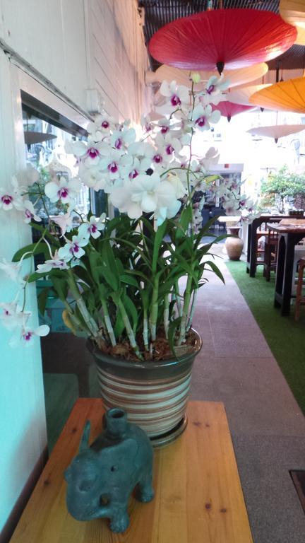 Patong Swiss Hotel Beach Front Phuket Eksteriør billede